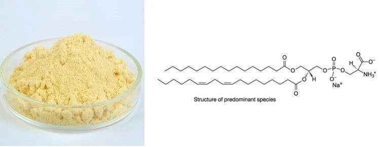 Phosphatidylserine Phosphatidylserine