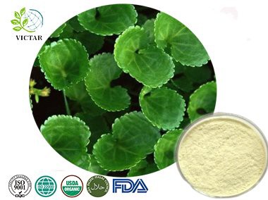 centella asiatica extract powder