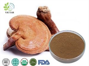 экстракт рейши